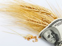 Как заработать на пшенице в бинарных опционах